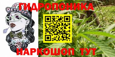 МДМА Новодвинск