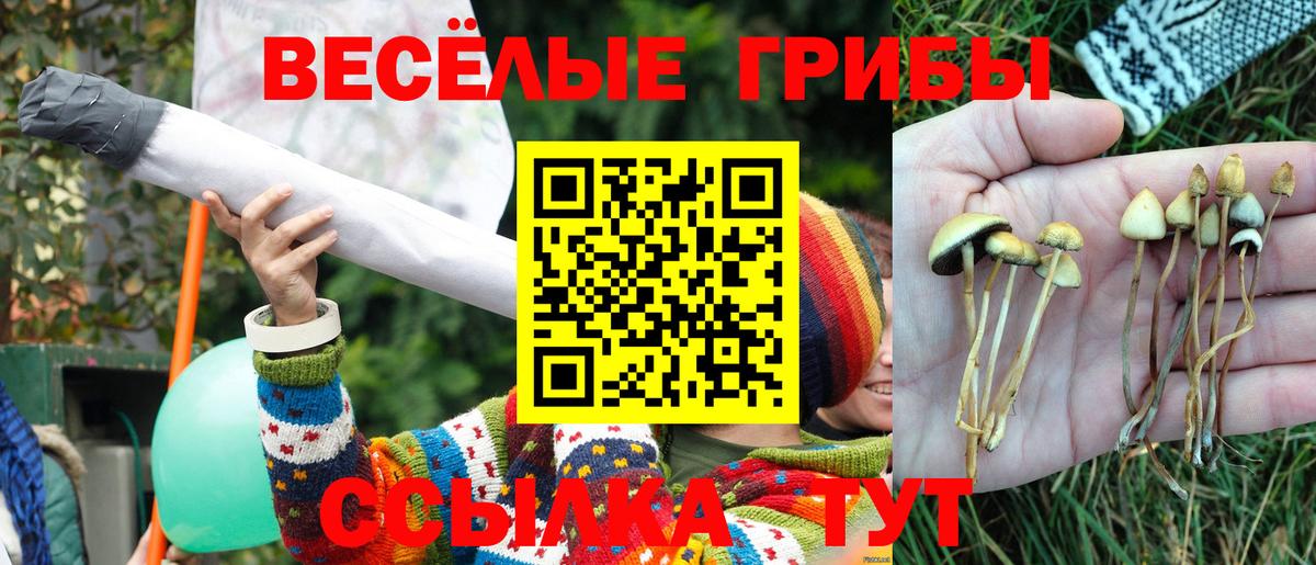 Советский  что такое наркотик  Вход с VPN  Псилоцибиновые грибы Magic Shrooms 